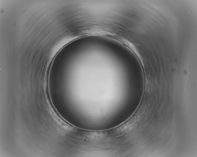 X0000089741195200706211454