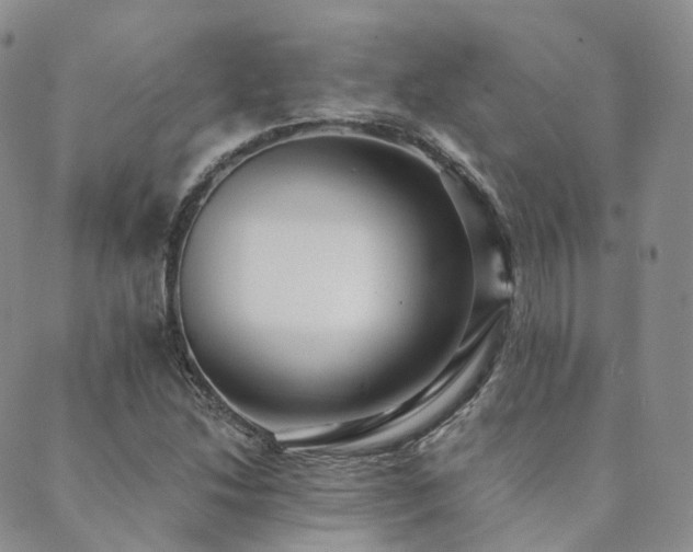 X0000089741214200706211453