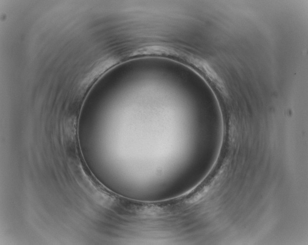 X0000089741233200706211454