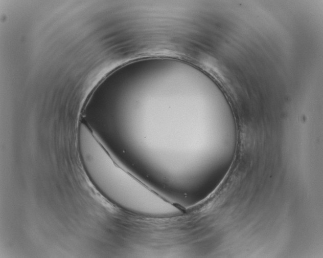 X0000089741236200706211454