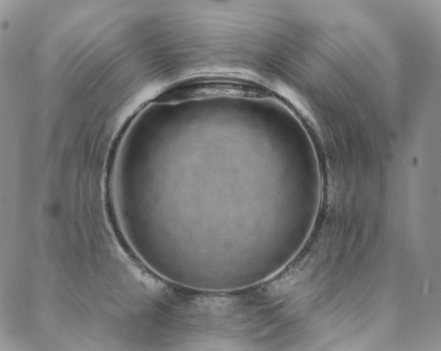 X0000089741237200706211454