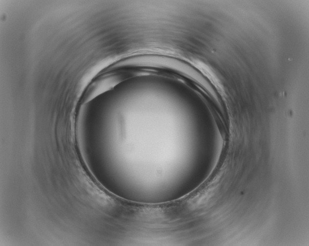 X0000089741238200706211454