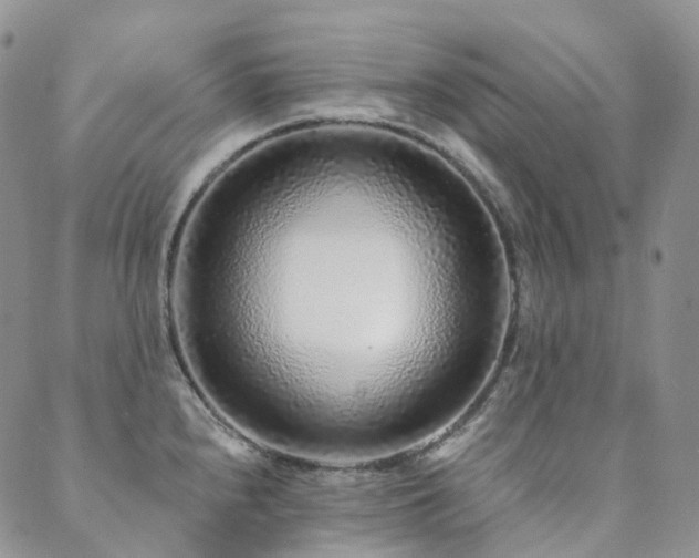 X0000089741240200706211454