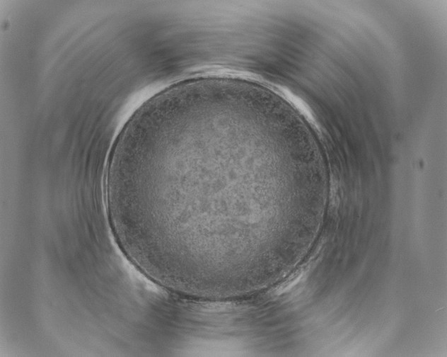 X0000089741247200706211454