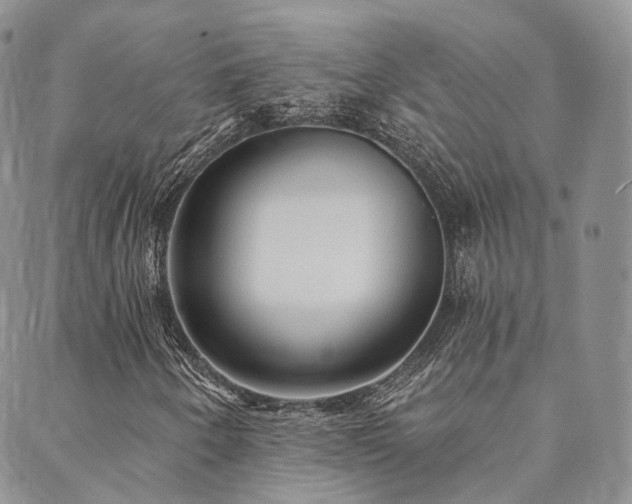 X0000089741250200706211453