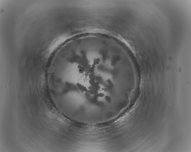 X0000089741263200706211453
