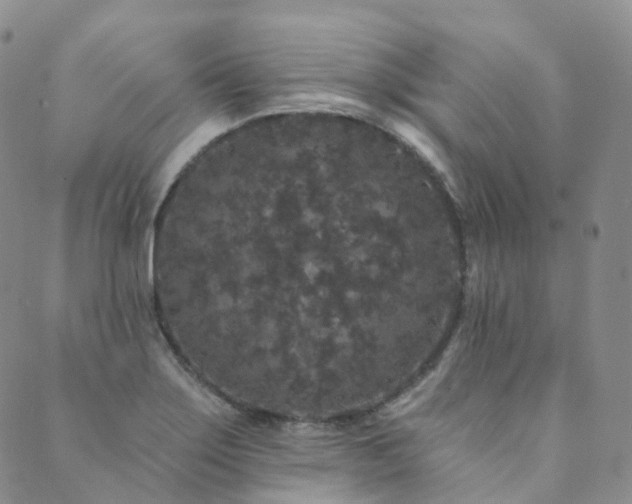 X0000089741275200706211453