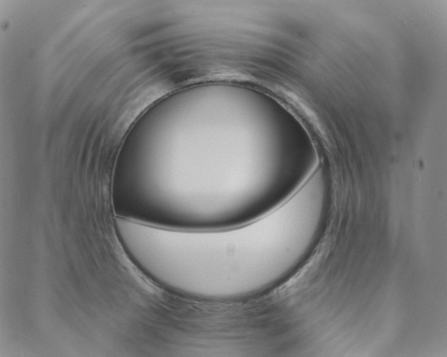 X0000089741281200706211453