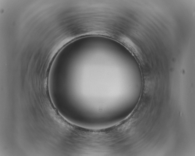 X0000089741284200706211453