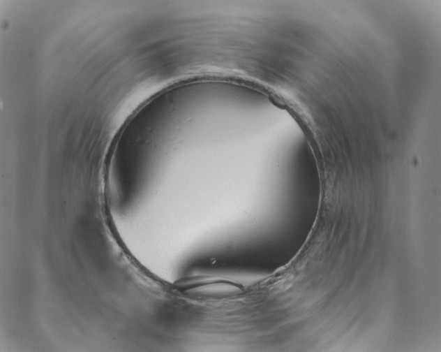 X0000089741287200706211452