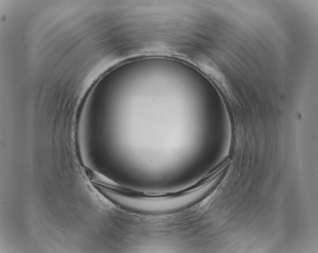 X0000089741288200706211452