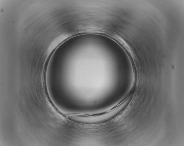 X0000089741293200706211452