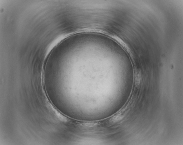 X0000089741294200706211452