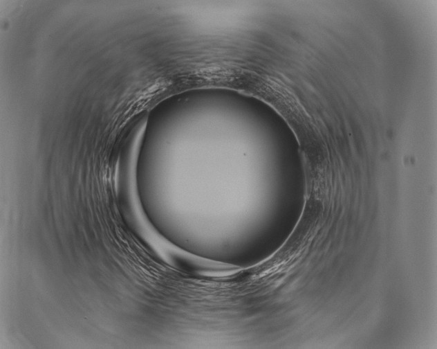 X0000089741298200706211452