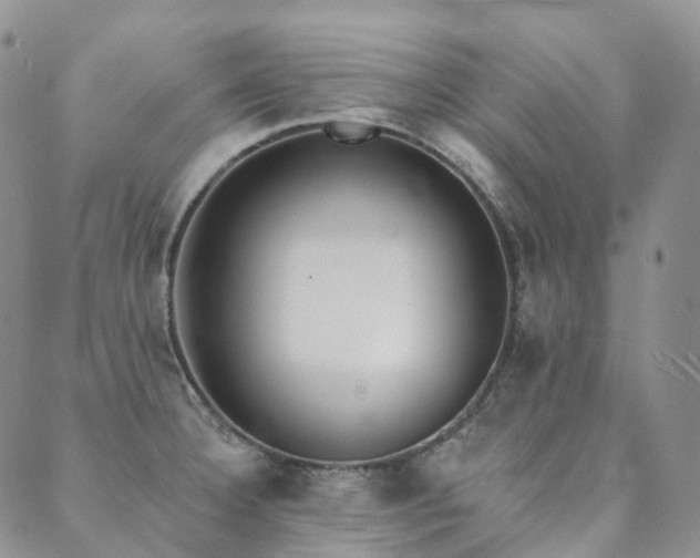 X0000089741332200706211452
