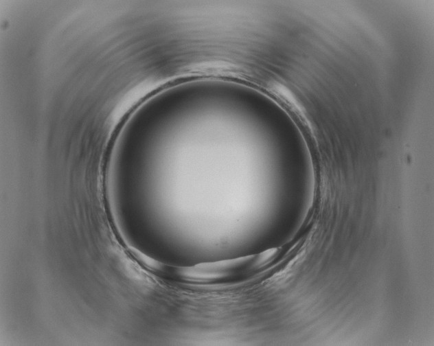 X0000089741336200706211452