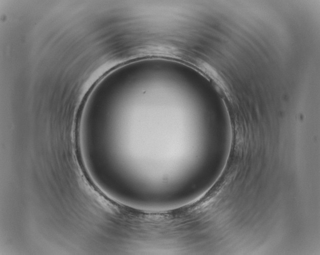 X0000089741339200706211452