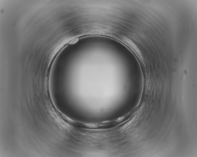 X0000089741340200706211452