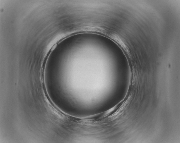 X0000089741342200706211452
