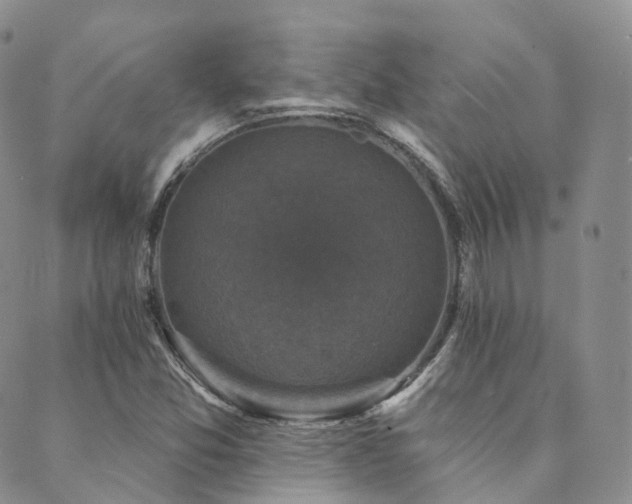 X0000089741357200706211451