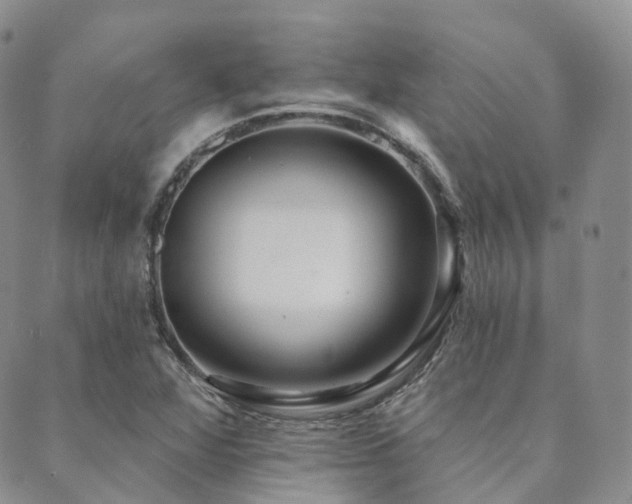 X0000089741360200706211451