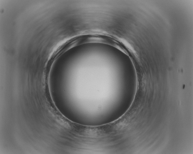 X0000089741364200706211451