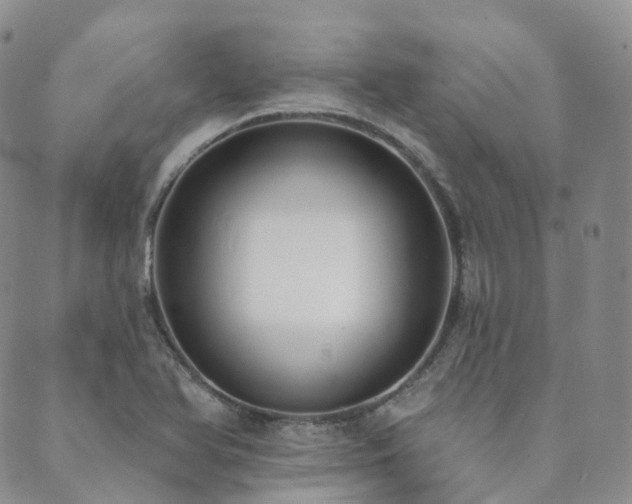 X0000089741366200706211451