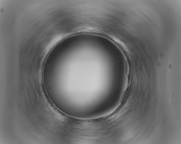 X0000089741375200706211451