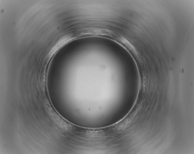 X0000089741378200706211451