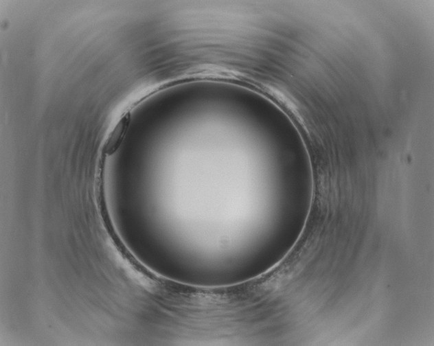 X0000089741379200706211451