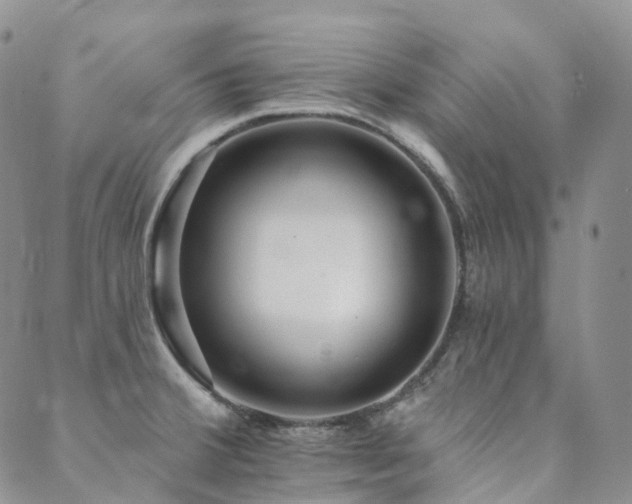 X0000089741380200706211451