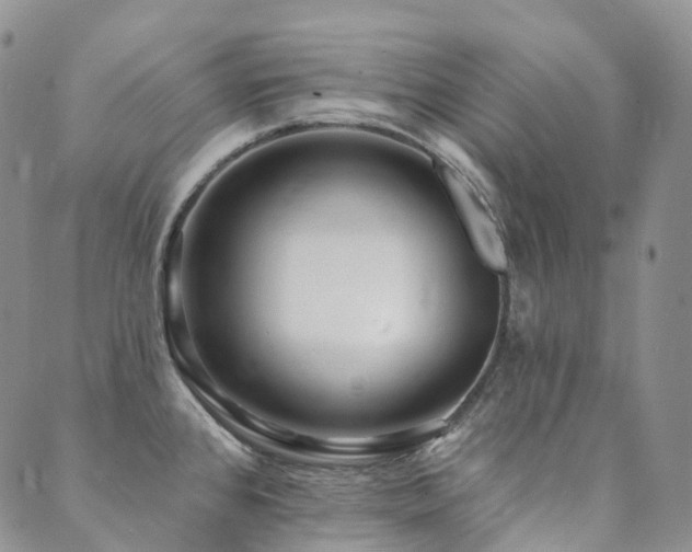 X0000089741384200706211451