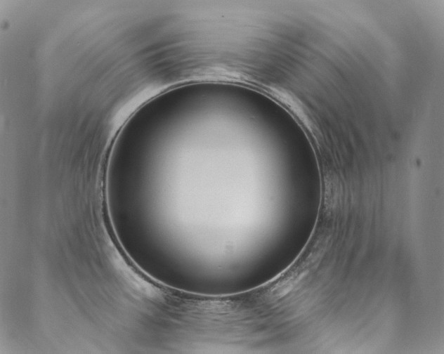 X0000089741387200706211451