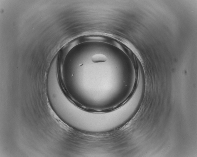 X0000089741388200706211451