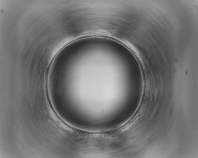 X0000089741390200706211451