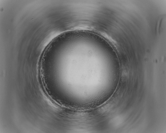 X0000089741423200706211450