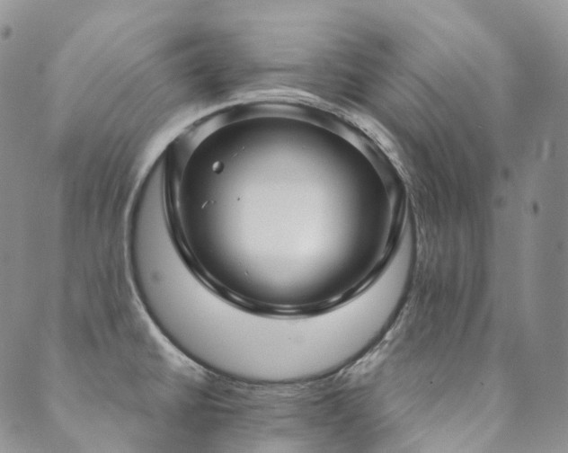 X0000089741430200706211451