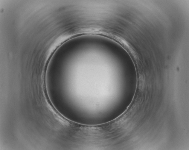 X0000089741432200706211451