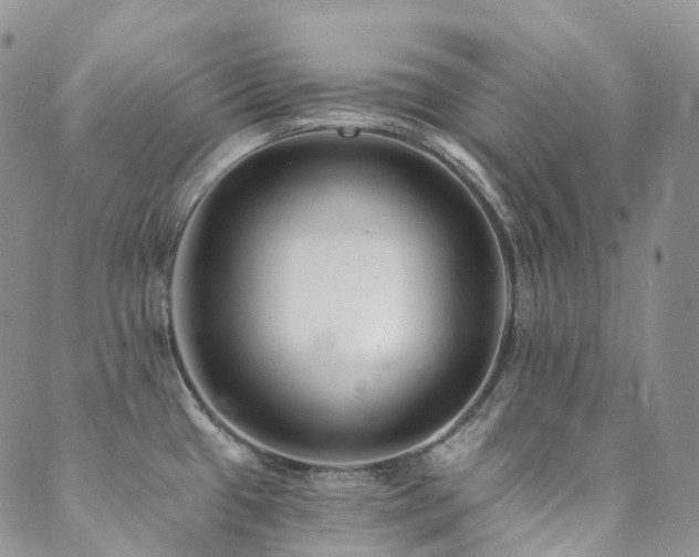 X0000089741433200706211451