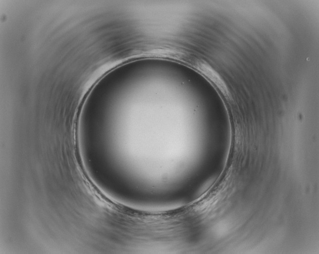 X0000089741436200706211451