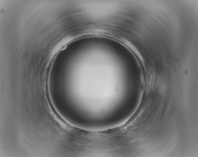 X0000089741437200706211451