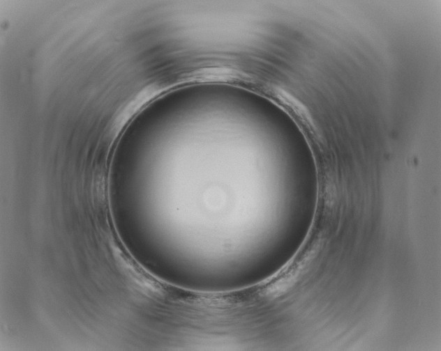 X0000089741473200706211449