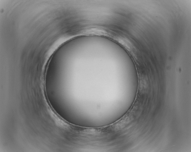 X0000089741478200706211449