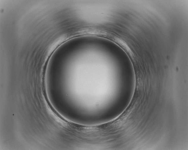 X0000089741483200706211449