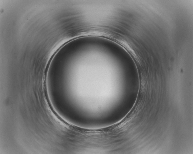 X0000089741484200706211449