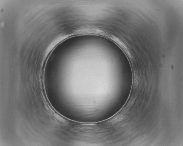 X0000089741486200706211449