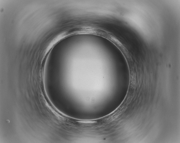 X0000089741487200706211449