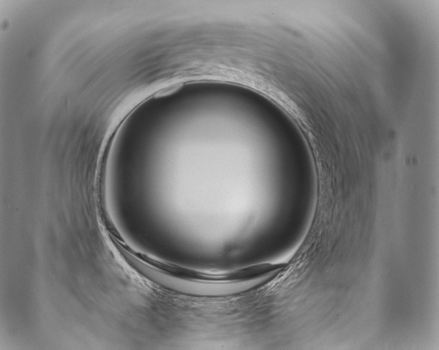 X0000089741536200706211449