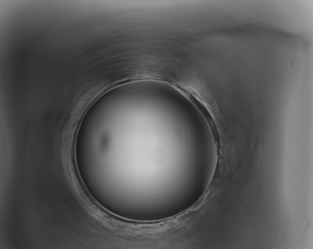 X0000089740001200706281616