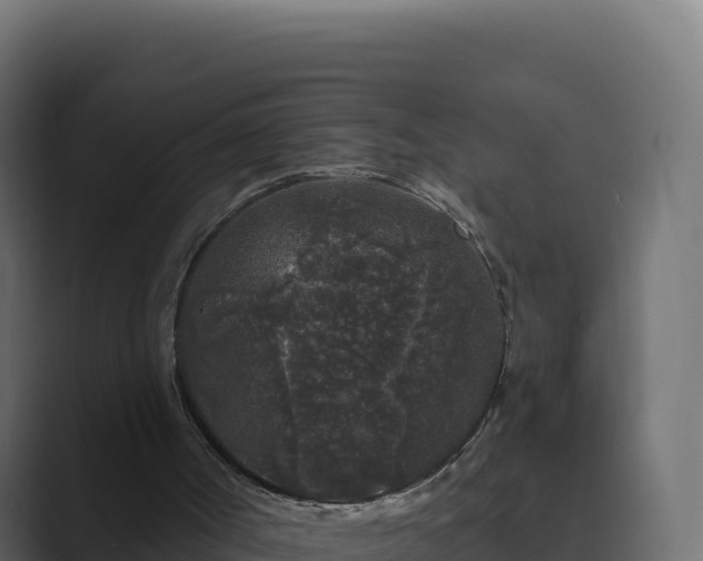 X0000089740002200706281616